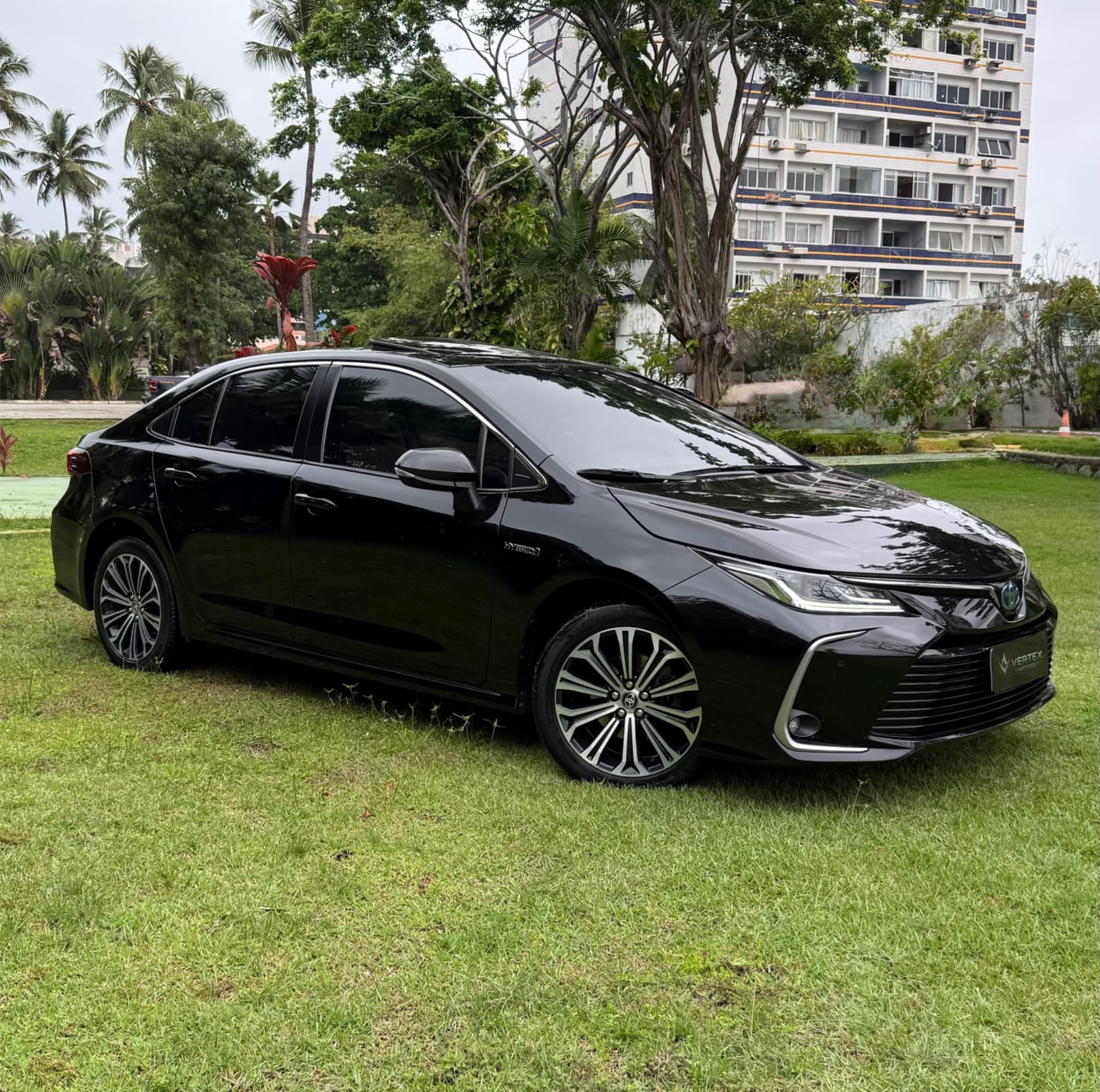 Toyota Corolla Sedan