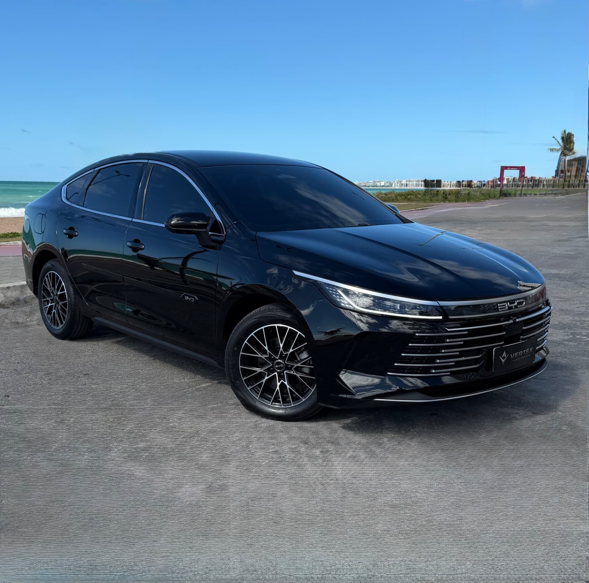 BYD King